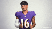 Football Nfl GIF by Baltimore Ravens