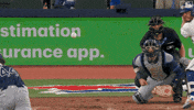 Home Run Baseball GIF by Toronto Blue Jays