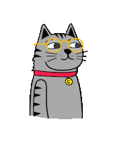 Confused Cat Sticker by Croquettine