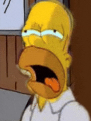 Homero Argentino GIF