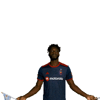 Chicago Fire Reaction Sticker by Chicago Fire Football Club