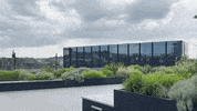 Rooftop Preston GIF by UCLan