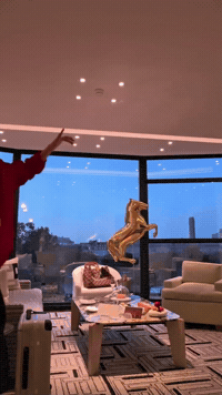 Louis Vuitton GIF