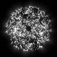 Black And White Loop GIF by xponentialdesign