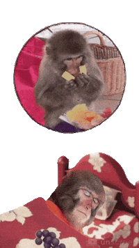 Good Night Fun Sticker