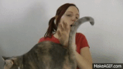 spank GIF