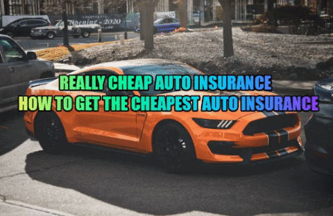 bdolbna giphygifmaker auto insurance really cheap auto insurance - how to get the cheapest auto insurance auto insurance - how to get the cheapest auto insurance GIF