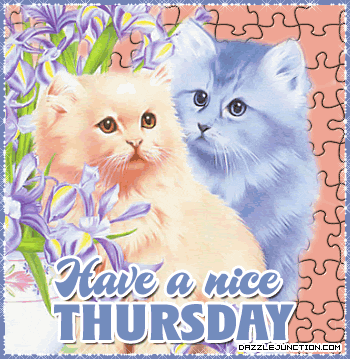 Kawaii gif. A long-haired pink cat sits next to a long-haired blue cat, bordered by purple iris flowers and a shimmering border. Text, "Have a nice Thursday."