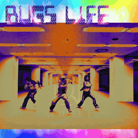 Bug Numberi GIF