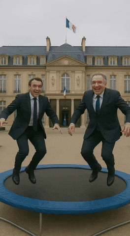 Macron GIF by systaime
