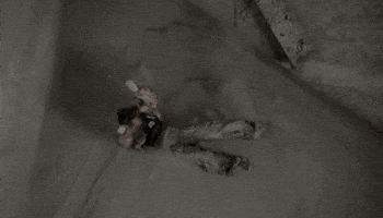 Music Video Winter GIF by aespa