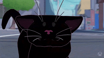Shocked Black Cat GIF by Xbox