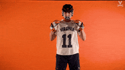 Uvamenslax GIF by Virginia Athletics