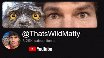 David Attenborough Follow GIF