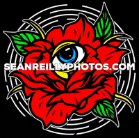 seanreillyphotos rose eye photographer baltimore GIF