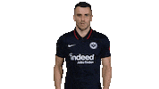 Eintracht Frankfurt No Sticker by Bundesliga