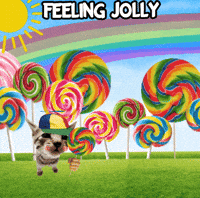 Sunshine Silly Cat GIF