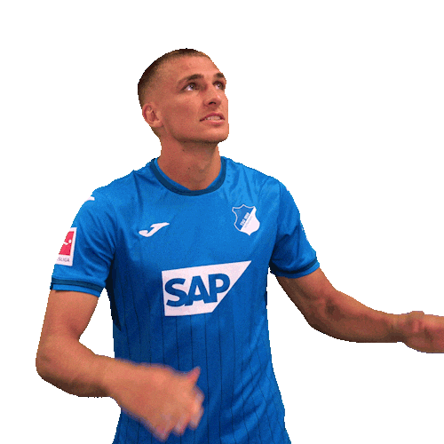 Grischa Prömel Sport Sticker by TSG Hoffenheim