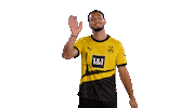 Hallo Ramy Bensebaini Sticker by Borussia Dortmund