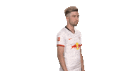 Posing Line Up Sticker by Bundesliga