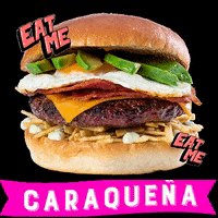 Anauco_burger burger burgerlover burgerporn anauco GIF