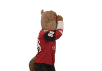 Ice Hockey Sticker by NHL