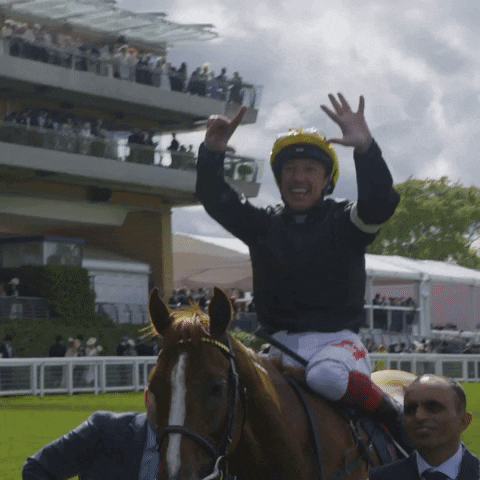 worldhorseracing celebration celebrate win winner GIF