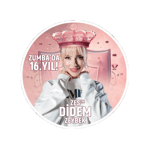 Zumba Zumbafitness Sticker by Didem Zeybek