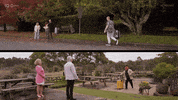 Arrival Arrive GIF by The Traitors Australia
