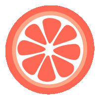 SomethingSoSam orange fruit florida orlando Sticker