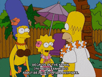 homer simpson episode 6 GIF
