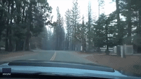 Town of Grizzly Flats Largely Destroyed by Caldor Wildfire in California