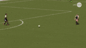 north carolina courage goal GIF by National Women's Soccer League