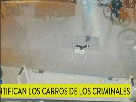 danilobeltrngalindo giphygifmaker GIF