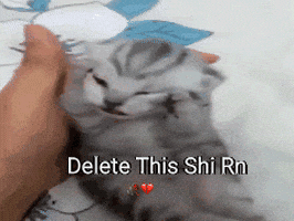 Cat Delete This GIF