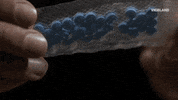 GIF by Black Market