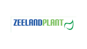 zeelandplant plant zeeland zeelandplant zeeland plant Sticker