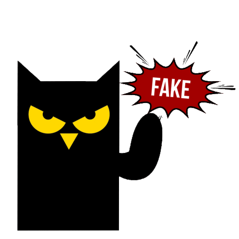 Fun Energy Sticker by GUARANA