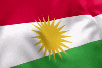 Kurdistan Kurd GIF by Gecko Developments