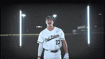 Baseball GIF by ORU Athletics