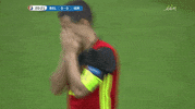 euro 2016 ireland GIF by Sporza