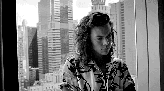 harry styles GIF