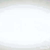 explore big brother canada GIF by Global TV