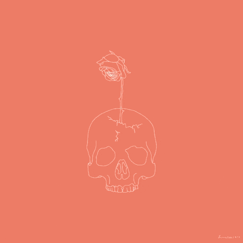 Rose Skull GIF by Lunares