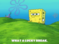 season 6 porous pockets GIF by SpongeBob SquarePants
