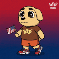 Jumping American Flag GIF by Buddies for Paws