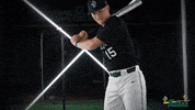 Tulane Rollwave GIF by GreenWave