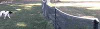 madmoizelledotcom  GIF