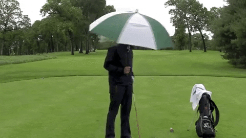 majorworld giphygifmaker GIF