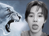 Cortis Seonghyeon GIF